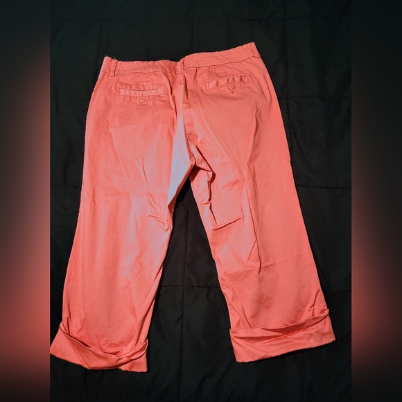 Capris - Picture 3 of 3